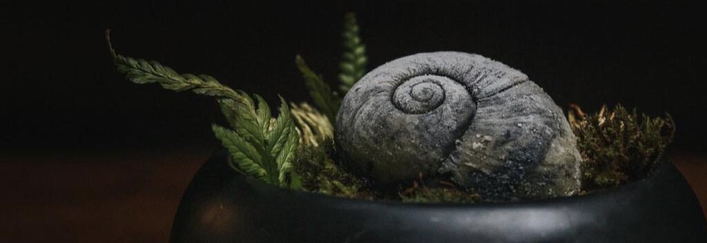 Kawakawa ice cream, kawakawa and pinot gris ice