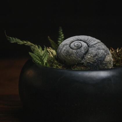 Kawakawa ice cream, kawakawa and pinot gris ice