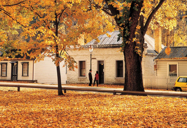 Arrowtown is a living historic settlement with many stories to tell. Wander the tree-lined streets of restored cottages and explore gold mining sites.