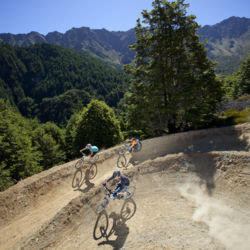 The most popular tracks are the ones that start at the gondola and weave their way through Ben Lomond Forest.