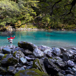 The beautiful Dart River and nearby Routeburn River are brown trout territory. Between 1 October and 30 April you&#039;re allowed to try your luck with spinners and artificial flies. There are local guides available to increase your chances of success.
