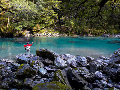 The beautiful Dart River and nearby Routeburn River are brown trout territory. Between 1 October and 30 April you&#039;re allowed to try your luck with spinners and artificial flies. There are local guides available to increase your chances of success.
