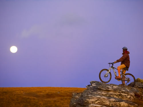 Moonlight rides and golden tussock fields.