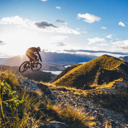 Among the most popular trails in this park are those that start at the top of the gondola and weave their way down through Ben Lomond Forest.