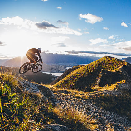 Among the most popular trails in this park are those that start at the top of the gondola and weave their way down through Ben Lomond Forest.