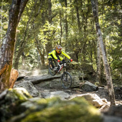 There are plenty of big berms, jumps and structures at this gondola-accessed bike park with stunning views.