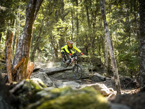 There are plenty of big berms, jumps and structures at this gondola-accessed bike park with stunning views.
