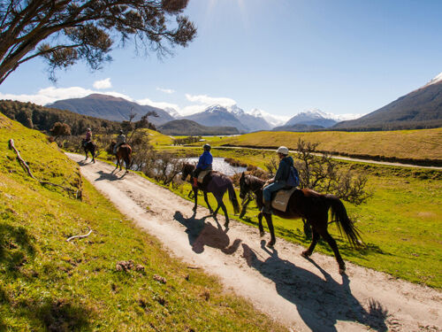 Horse treks around Glenorchy