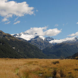 View over Rees Dart Track