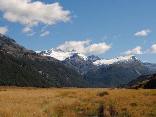 View over Rees Dart Track