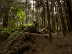 재미있다. 숲 가운데에서 다른 산악자전거 라이더가 응원을 보내준다.