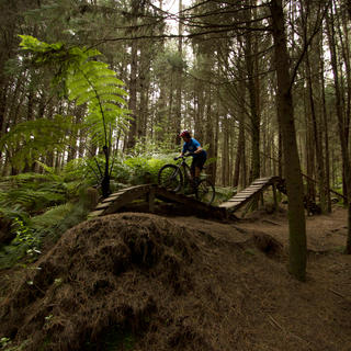 It's all about fun - listed out for the hoots and hollers of fellow riders through the trees.
