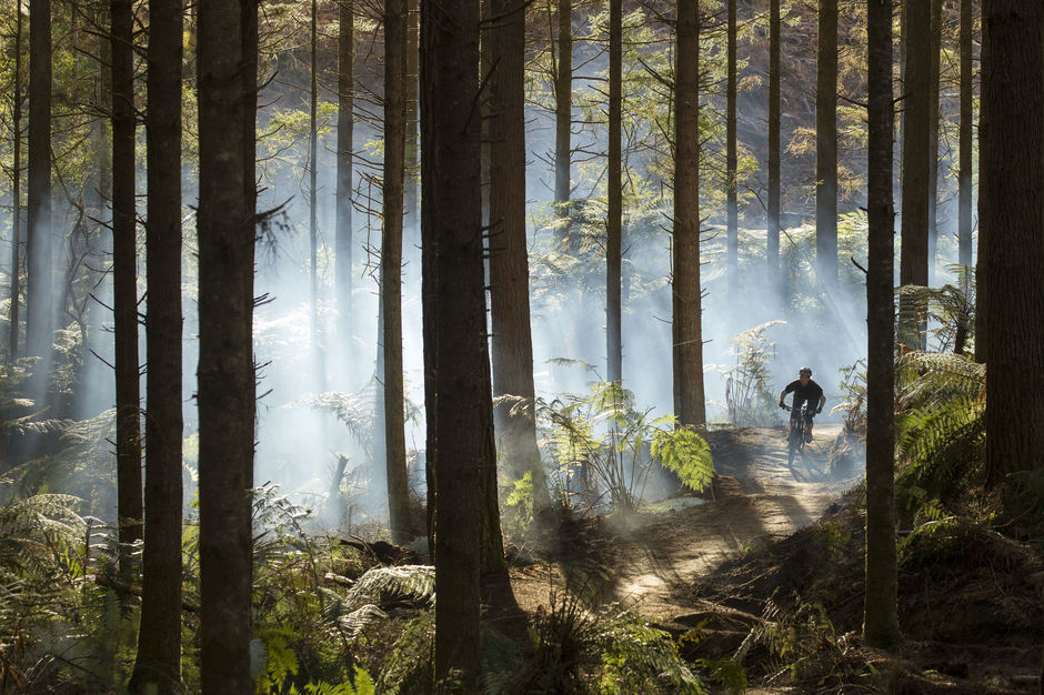 Whakarewarewa Forest, atau 'The Redwoods', adalah surga untuk bersepeda gunung.
