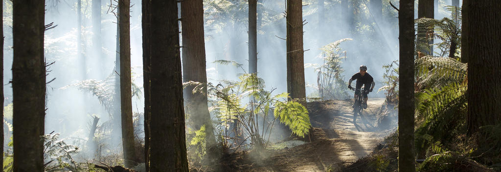 Whakarewarewa Forest, also known as the Redwood Forest is paradise for bikers with any ability.