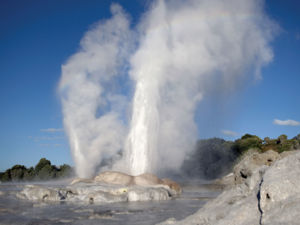 Experience the earth roar at Te Puia and marvel at the tallest geyser in the Southern Hemisphere