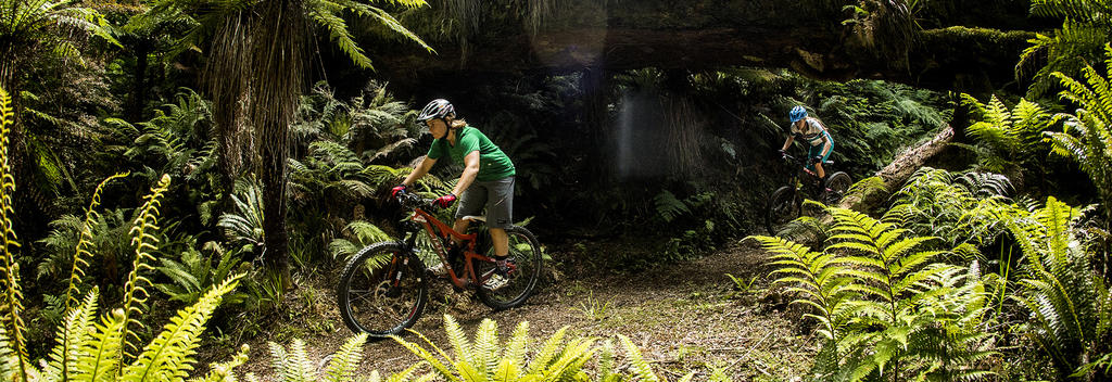 Ride through the wilderness of Whirinaki Forest near Rotorua on this advanced track featuring towering trees and historic trekking huts.