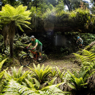 Ride through the wilderness of Whirinaki Forest near Rotorua on this advanced track featuring towering trees and historic trekking huts.