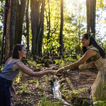  Te Pā Tū (Previously known as Tāmaki Maori Village )