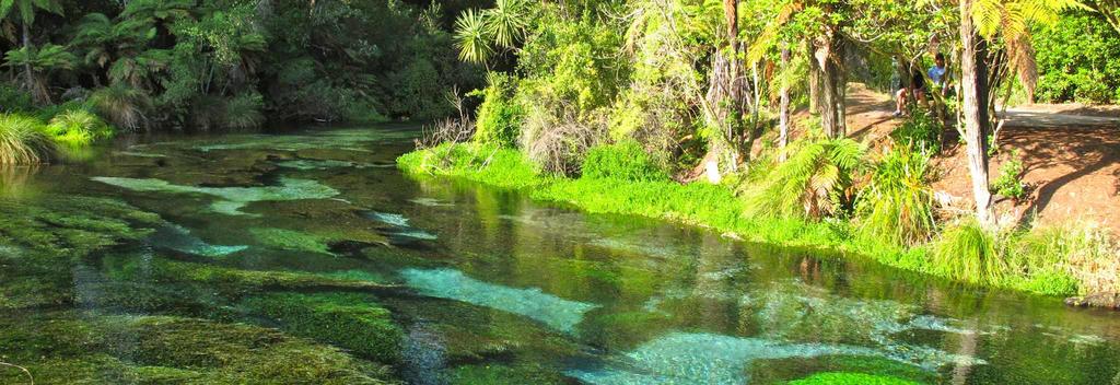 Hamurana Springs famous for its beautiful crystal clear fresh water springs.