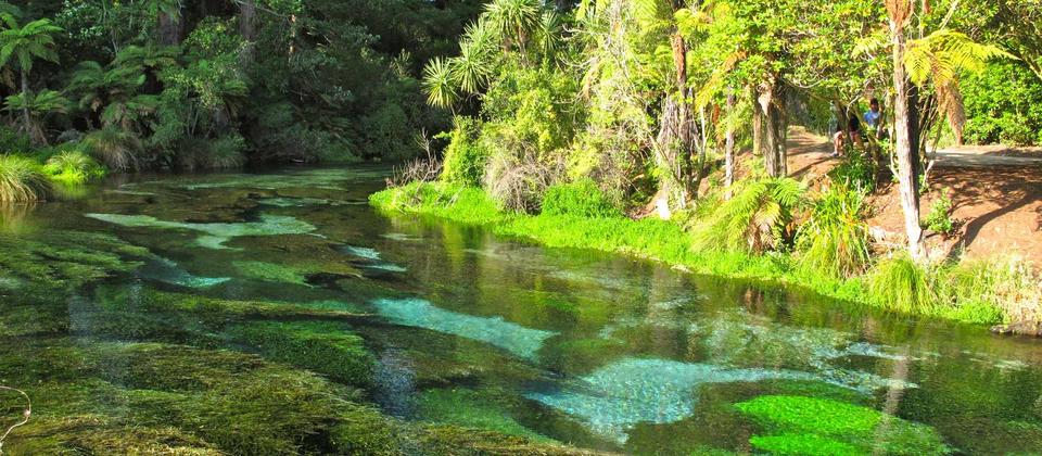 Hamurana Springs famous for its beautiful crystal clear fresh water springs.