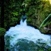 Walking tracks in the reserve lead to four picturesque waterfalls, the site of Rotorua's first hydro-electric power station, the Tutea Caves and Hinemoa's Steps.