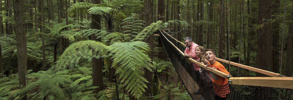 Der Redwoods Treewalk ist ein über 500m langer Baumwipfelpfad mit über 21 Hängebrücken – ein toller Spaß für Jung und Alt.