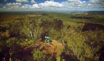 Rainbow Mountain MTB Tracks in Rotorua.