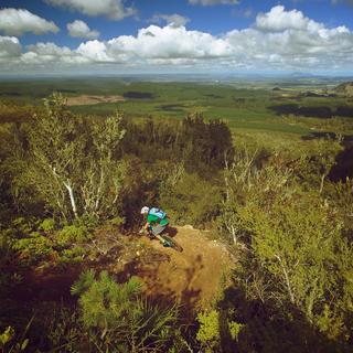 Rainbow Mountain MTB Tracks in Rotorua.