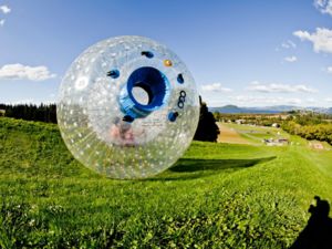 Experience OGO in Rotorua