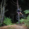 The Whakarewarewa Forest is a mountain biking mecca and is perfect for beginners through to advanced.