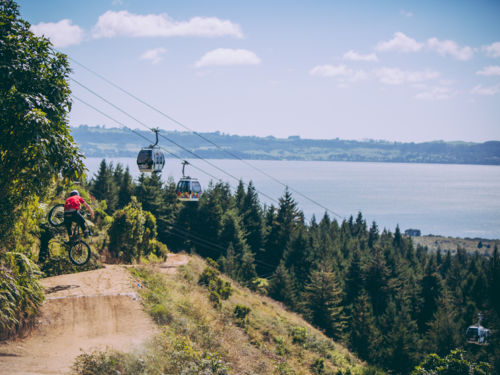 Overredend Gewend aan Houden Skyline Gravity Park | Mountain Biking in Rotorua