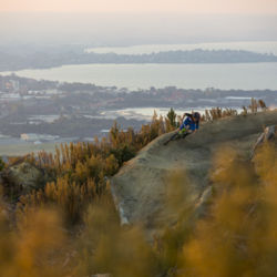 Verschiedenartige Fahrbahnoberflächen, anspruchsvolles Gelände und faszinierende Landschaften machen den Whakarewarewa Forest zum Paradies für Mountainbiker.