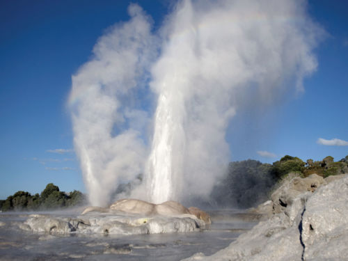 Experience the earth roar at Te Puia and marvel at the tallest geyser in the Southern Hemisphere