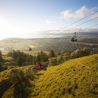 This 8.5km trail network offers something for everyone; from mellow gradient tracks to more challenging purist tracks.