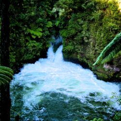 Walking tracks in the reserve lead to four picturesque waterfalls, the site of Rotorua&#039;s first hydro-electric power station, the Tutea Caves and Hinemoa&#039;s Steps.