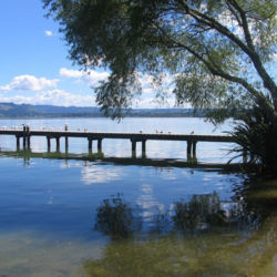 中心街に近いポリネシアン・スパの温泉から湖畔の遊歩道を散策