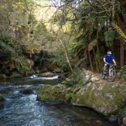 緑豊かな森林と美しい小川を行くコースから、ここは風光明媚なマウンテンバイクのメッカとなっています。