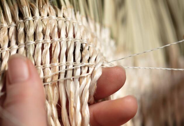 Raranga, or Māori weaving, is an art form that is both beautiful and practical. Find out more about this traditional practice.