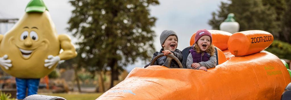 Ohakune Carrot Adventure Park