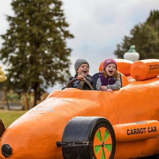 Ohakune Carrot Adventure Park
