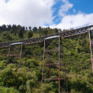 Ohakune Old Coach Road