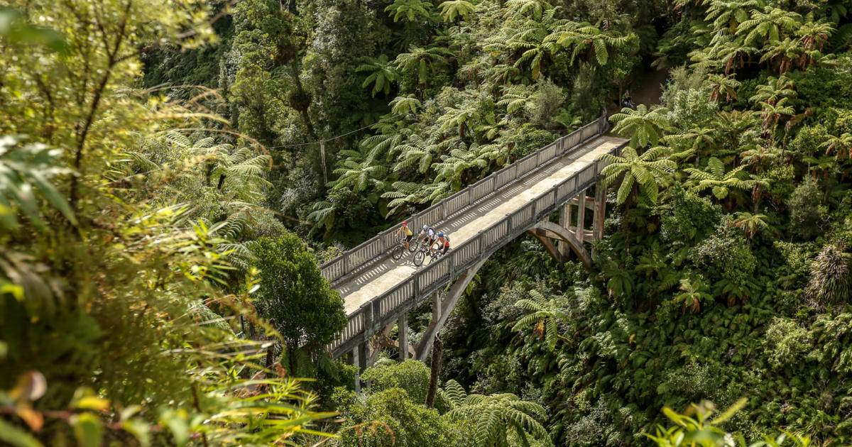 Bridge to Nowhere Mountain Biking Trail | Mountain Biking in New Zealand |  North Island