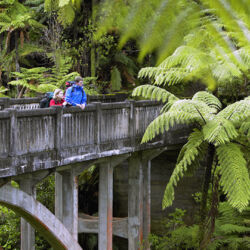 行き先のない橋