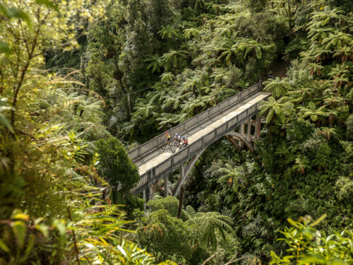 Mountains to sea Cycle Trail