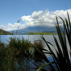 タマ・レイクスやオヒネパンゴ・スプリングスなどの見どころにつながる側道がいくつかあります。春先には溶岩の下から透き通った冷水が流れ出し、オヒネパンゴ・ストリームの小川に合流していきます。