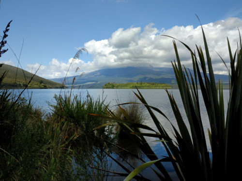 タマ・レイクスやオヒネパンゴ・スプリングスなどの見どころにつながる側道がいくつかあります。春先には溶岩の下から透き通った冷水が流れ出し、オヒネパンゴ・ストリームの小川に合流していきます。