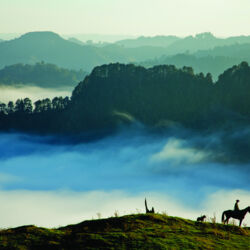 승마를 하며 이 지방의 시골 풍경을 감상한다.