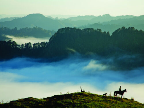 승마를 하며 이 지방의 시골 풍경을 감상한다.