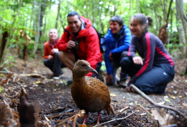 Sehenswürdigkeiten & Aktivitäten in Stewart Island Rakiura