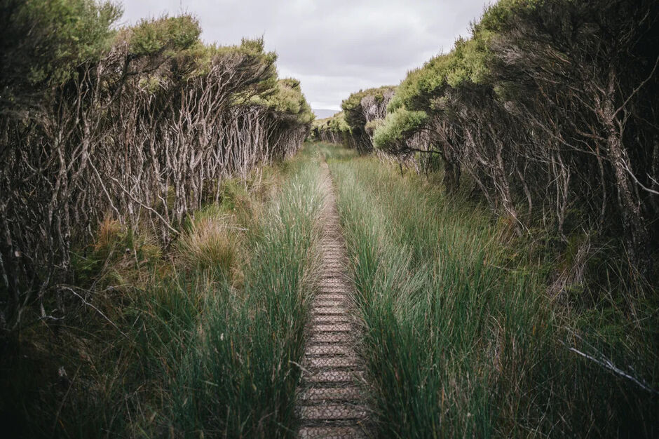 Mason Bay, Rakiura Track